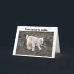 CARTE FROM ONE KID TO ANTOTHER HAPPY BIRTHDAY<br><div class="desc">Tout le monde pense que les chèvres porcines sont mignonnes, et, si VOUS LE FAITES, alors c'est une belle carte à envoyer à quelqu'un dans "votre vie" d'avoir un anniversaire bientôt!</div>