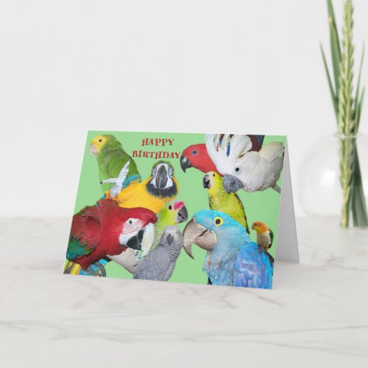 Carte From the Flock Birthday (Devant)