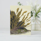 Carte Front de Tidal (Debout devant)