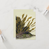 Carte Front de Tidal (Devant/Arrière en situation)