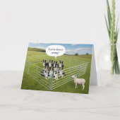 Carte Frontière Collie Chiens et moutons Anniversaire am (Devant)