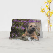 Carte Frontière Terrier sur une roche avec Heather (Fleur jaune)