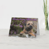 Carte Frontière Terrier sur une roche avec Heather (Devant)