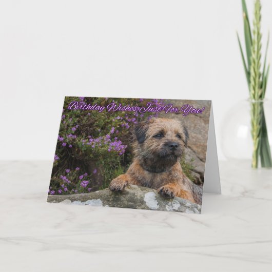 Carte Frontière Terrier sur une roche avec Heather (Devant)