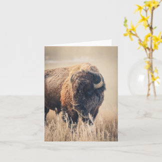 Carte Frosty Morning - 4" x 5.6" Notecard