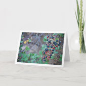 Carte Fruit de Blackberry sauvage (Devant)