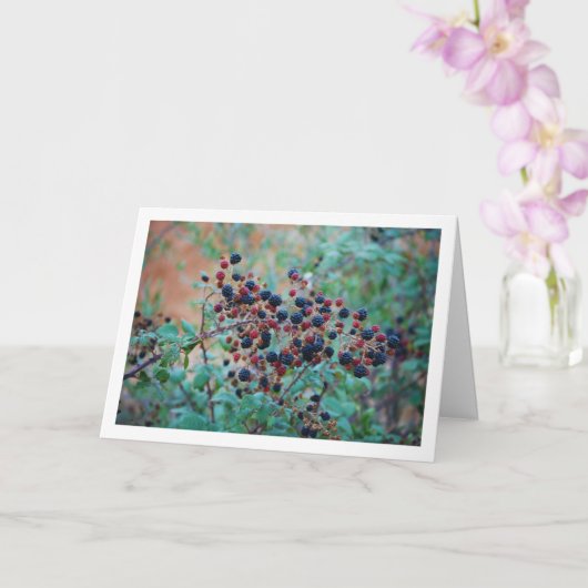 Carte Fruit de Blackberry sauvage (Orchidée)