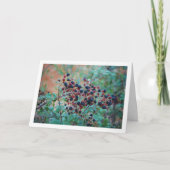 Carte Fruit de Blackberry sauvage (Devant)