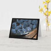 Carte Fruit de figue dans un passoire (Fleur jaune)