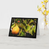 Carte Fruit de kaki dans l'arbre (Fleur jaune)