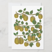 Carte Fruit de kiwi (Dos)