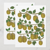 Carte Fruit de kiwi (Devant / Derrière)