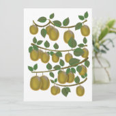 Carte Fruit de kiwi (Debout devant)