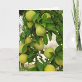 Carte Fruit de prune jaune (Devant)