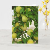 Carte Fruit de prune jaune (Fleur jaune)