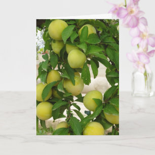 Carte Fruit de prune jaune