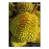 Carte Fruit Durian (Devant)