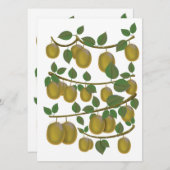 Carte Fruit Kiwi (Devant / Derrière)