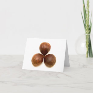 Carte Fruits de châtaignes sucrés