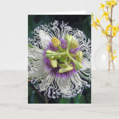 Carte Fruits de la passion (Fleur jaune)