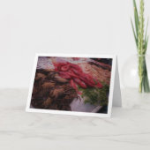 Carte Fruits de mer au Mercado Central, Valence, Espagne (Devant)