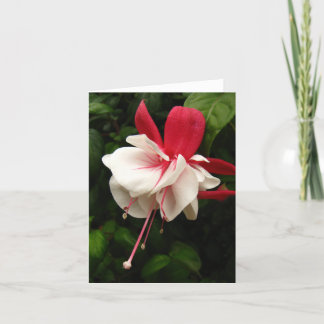 Carte Fuchia Blossom Notecard