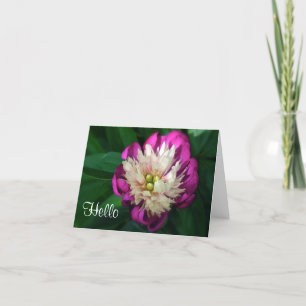 CARTE "FUCHSIA & PEONY BLANC"