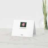 CARTE "FUCHSIA & PEONY BLANC" (Dos)