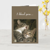 Carte Fun Anniversaire Chats Aimez-vous Garder (Fleur jaune)