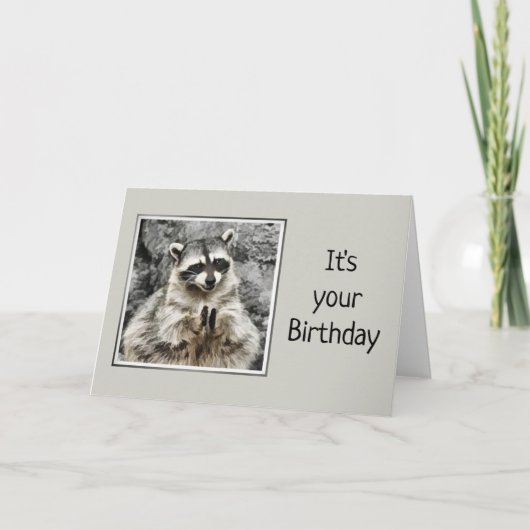 Carte Fun Clapping Raccoon Obtenir un vieil Humour Anniv (Devant)