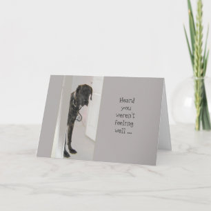 Carte Fun Get Well Great Dane Dog Doter (doctor) Humour