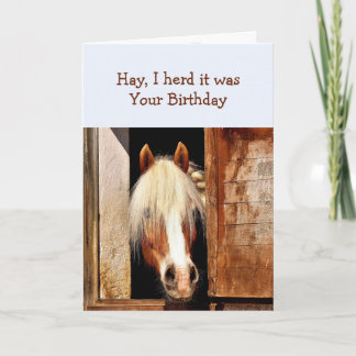 Carte Fun Hay J'ai dit que c'était ton anniversaire Chev