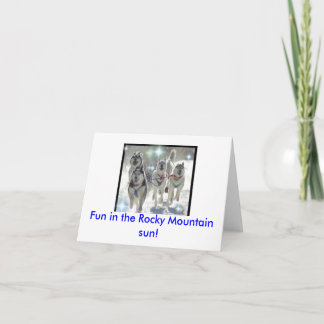 Carte Fun in the Rocky Mountain sun !