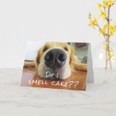 Carte Fun mignon chien Big Nez Joyeux anniversaire (Fleur jaune)