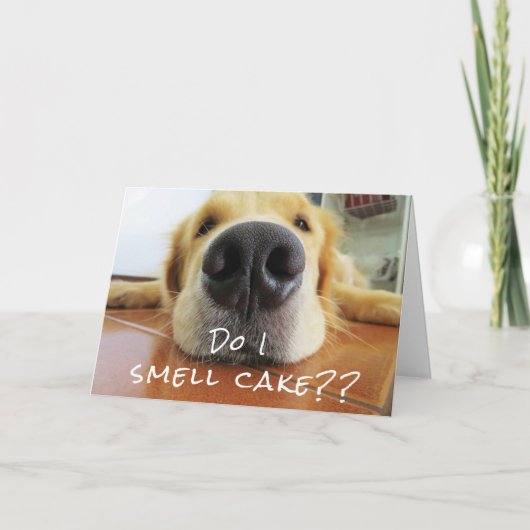 Carte Fun mignon chien Big Nez Joyeux anniversaire (Devant)