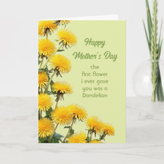 Carte Fun Mother Day Best Mother Ever (Devant)