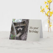Carte Fun Raccoon Dans un endroit serré Anniversaire (Fleur jaune)