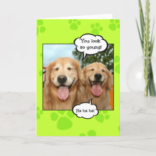 Carte Funky Golden Retriever Golden Oldie Anniversaire
