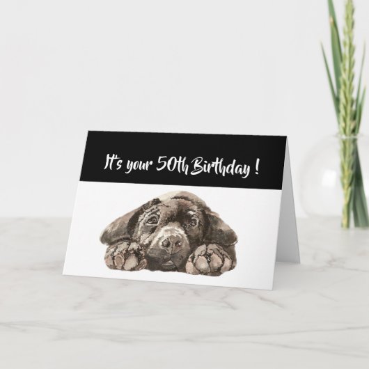 Carte Funny 50e anniversaire, Labrador Retriever (Devant)