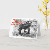 Carte Funny Australian Christmas Greeting Card (Fleur jaune)