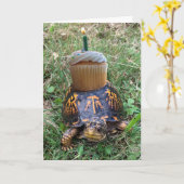 Carte Funny Belated Birthday Card (Fleur jaune)