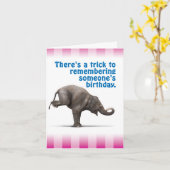 Carte Funny Belated Birthday Card - Trick to Souvenirs (Fleur jaune)