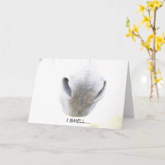 Carte Funny Birthday (Fleur jaune)