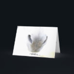 Carte Funny Birthday<br><div class="desc">While visiting a Donkey Sanctuary in the UK, despite the cold temperatures, I lingered most of the day just enjoying all of their antics. This is one of the many special moment - nose to muzzle - that I got to experience. I thought it would be the perfect image for...</div>