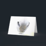 Carte Funny Birthday<br><div class="desc">While visiting a Donkey Sanctuary in the UK, despite the cold temperatures, I lingered most of the day just enjoying all of their antics. This is one of the many special moment - nose to muzzle - that I got to experience. I thought it would be the perfect image for...</div>