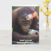 Carte Funny Birthday Card, Orangutan veut du gâteau ! (Fleur jaune)