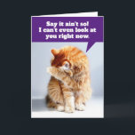 Carte Funny Birthday Card pour Old Geezer<br><div class="desc">Ce tabby orange est tellement dégoûté qu'il ne peut même pas regarder le garçon d'anniversaire... Je veux dire, geezer d'anniversaire. Le devant dit, "Dis que ce n'est pas le cas ! Je ne peux même pas vous regarder en ce moment." A l'intérieur de la carte continue avec, "Je suis amis...</div>