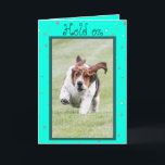 Carte Funny Birthday Card w/Cute Basset Hound & Cupcakes<br><div class="desc">Funny Birthday Card w/Cute Basset Hound & Cupcakes</div>