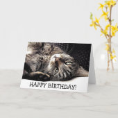 Carte Funny birthday card with cat - ready to play ! (Fleur jaune)