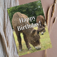 Funny Birthday Donkey Farm Animal Cute Barnyard